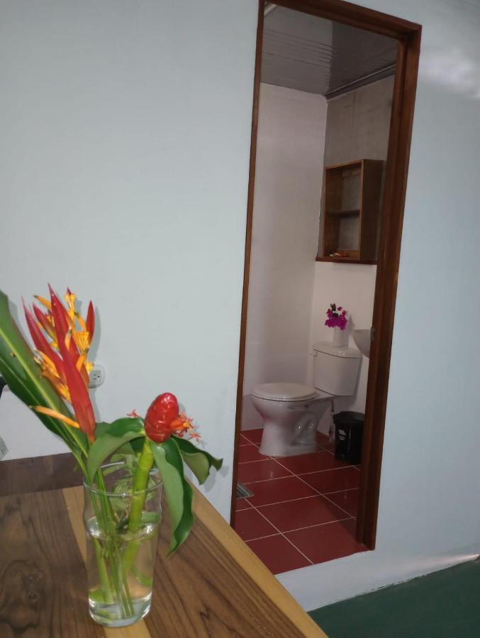 Container House Cahuita Hotel ภายนอก รูปภาพ