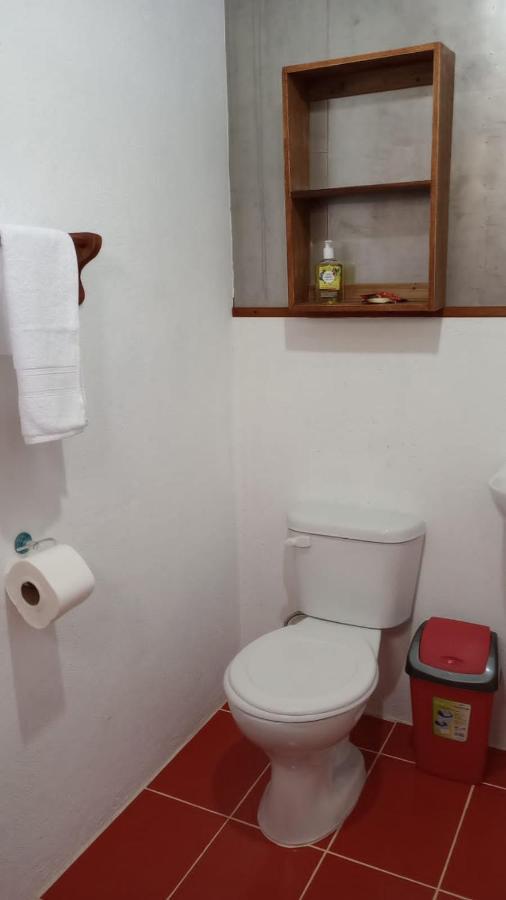 Container House Cahuita Hotel ภายนอก รูปภาพ