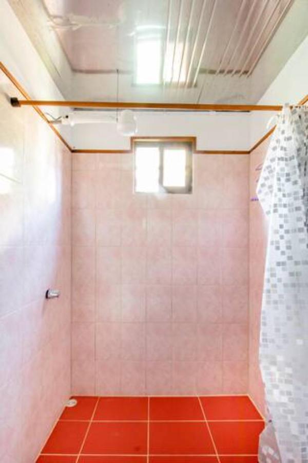 Container House Cahuita Hotel ภายนอก รูปภาพ
